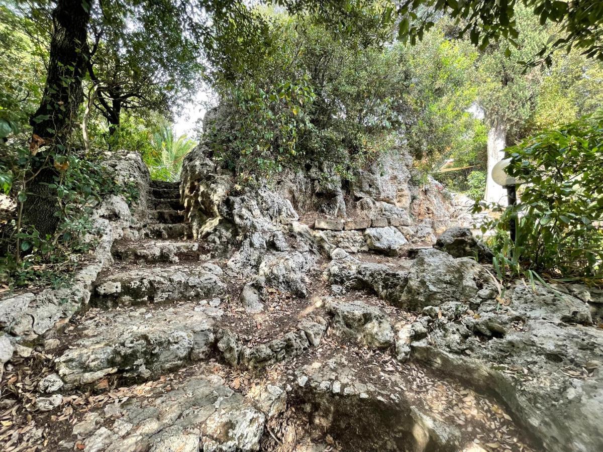 Villa Degli Ulivi Massa Marittima Eksteriør billede