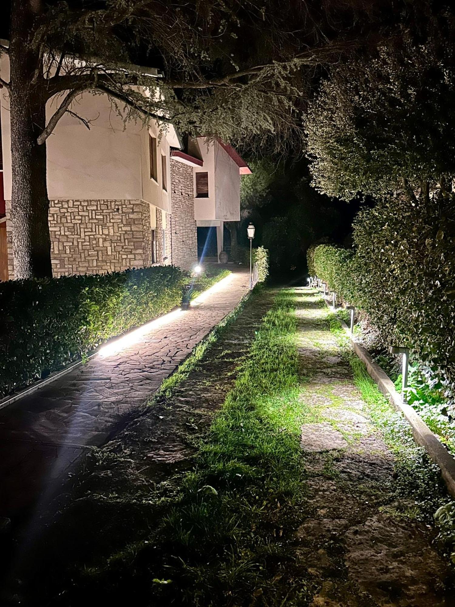Villa Degli Ulivi Massa Marittima Eksteriør billede